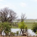 BWA NW Chobe 2016DEC04 NP 032 : 2016, 2016 - African Adventures, Africa, Botswana, Chobe National Park, Date, December, Month, Northwest, Places, Southern, Trips, Year